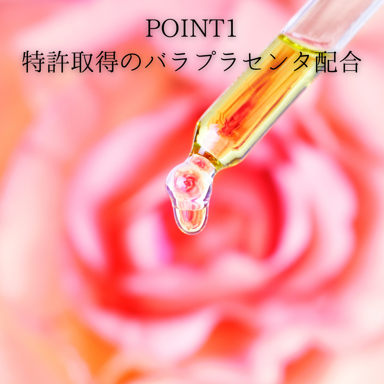 ROSE PLACENTA GEL　